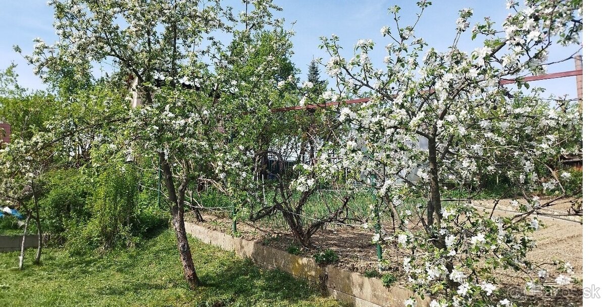 Predaj, záhrady v meste Poltár - 4