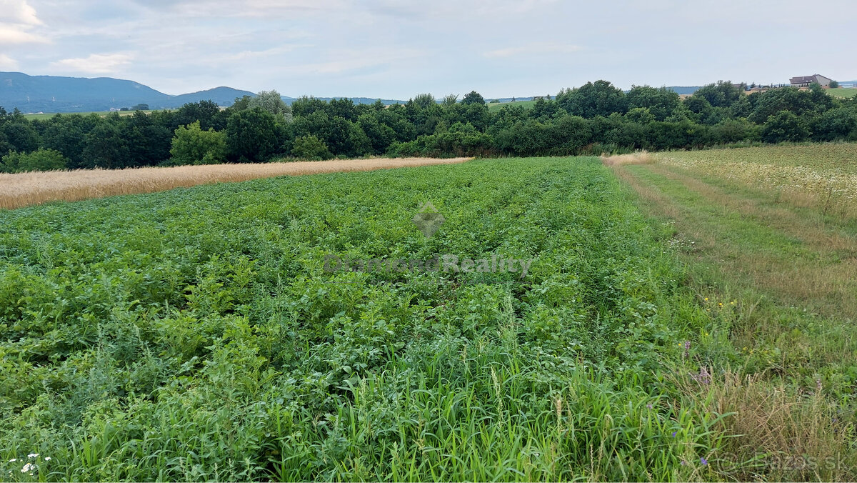 pozemok na predaj - 4