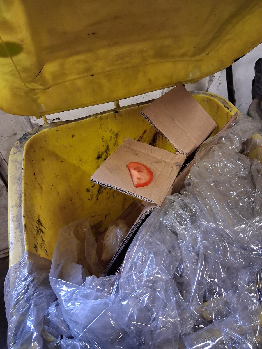 Paperove bundy Dynafit, Zajo - 4