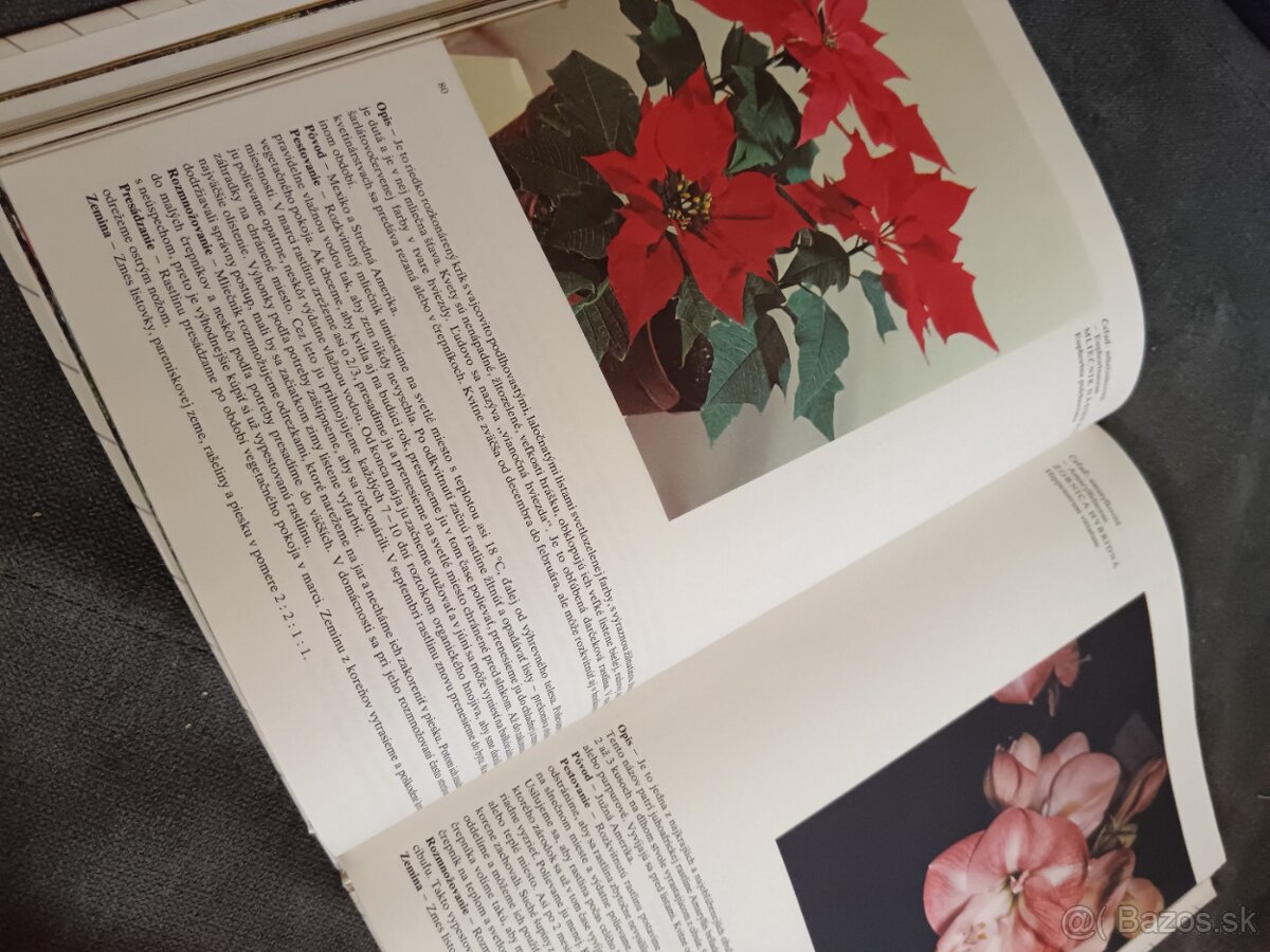 Predám knihu Kvety moja záľuba - 4