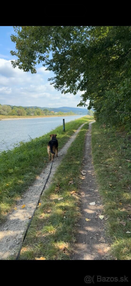 Darujeme fenku ❤️ - 4