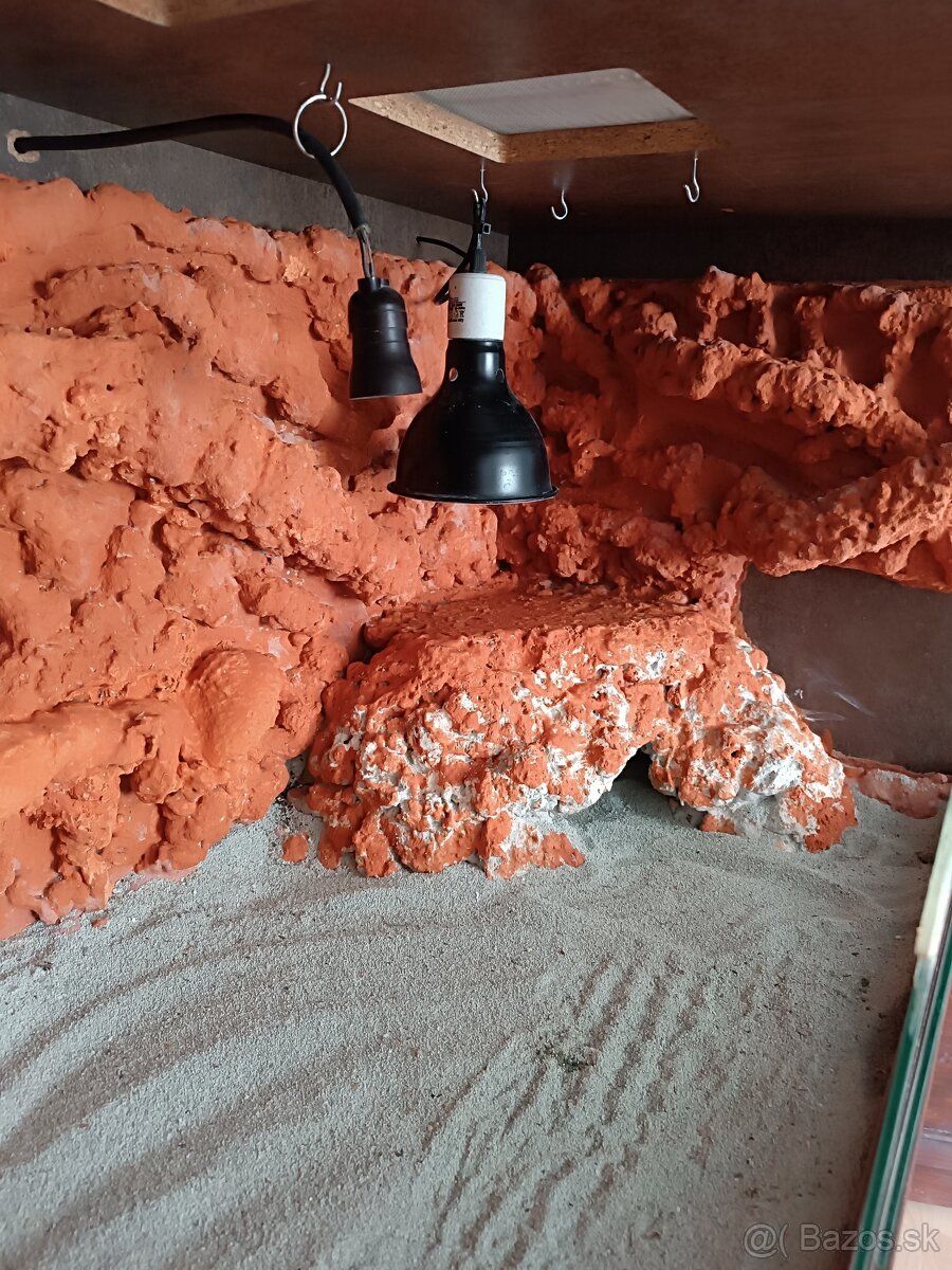 Krasne velke terarium - 4