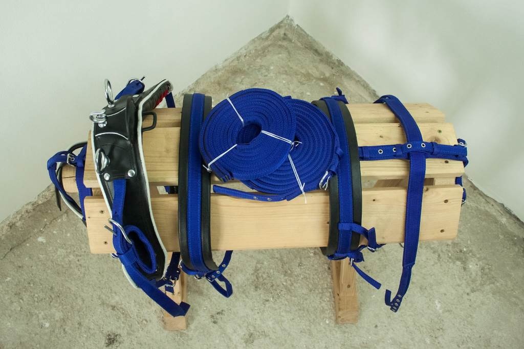 Poprsný nylonový postroj pre koňa modrý COB - 4