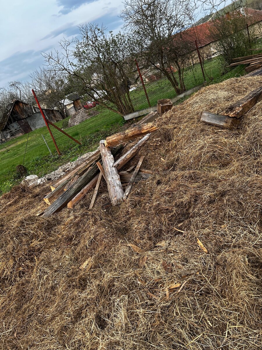 Darujem drevo za odvoz - 4