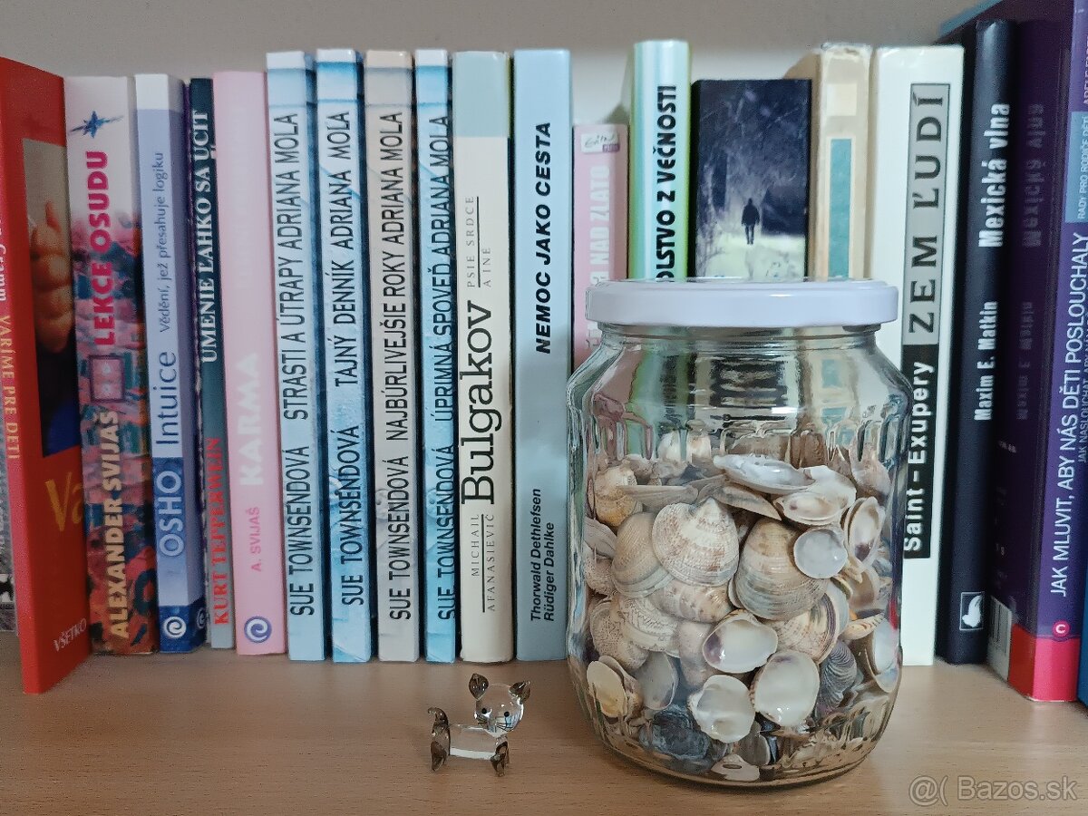 Dekoračné mušle - 4