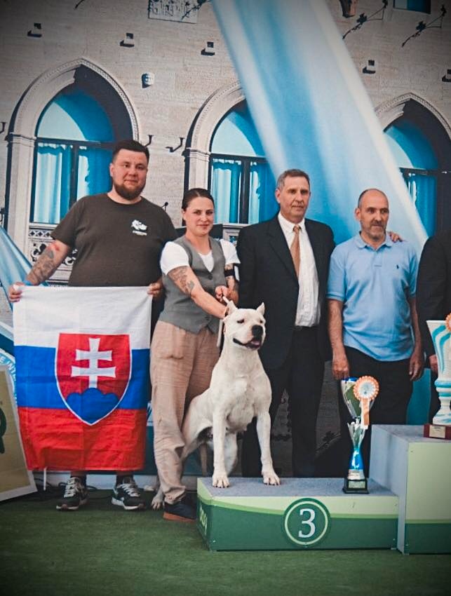 Argentínska doga - sučka s PP - 4