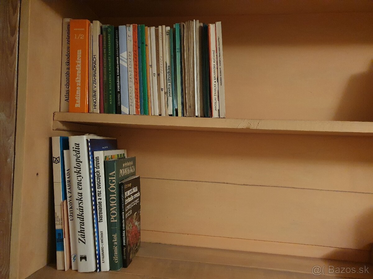 Jazykova literatura - Anglictina, Nemcina a Francuzstina - 4