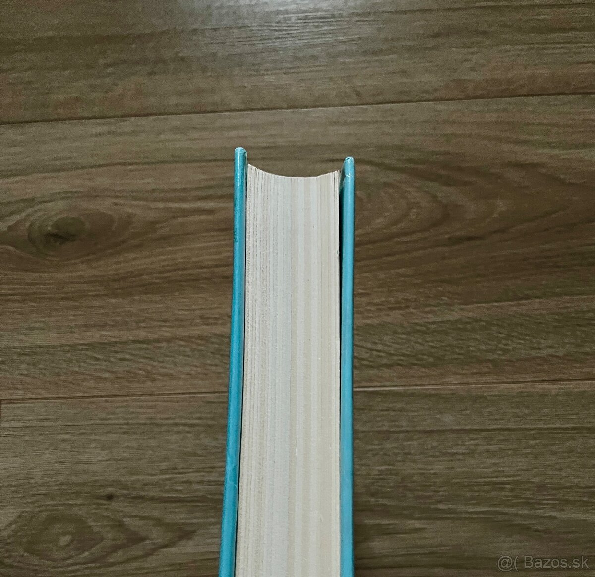 Božská komedia - 4