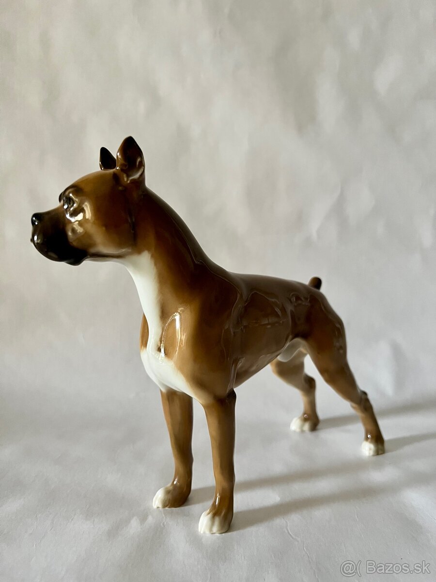 Porcelanove psy Hutschenreuther boxer - 4