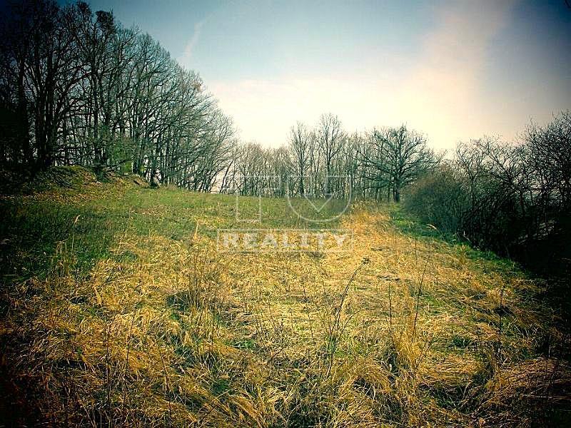 Súbor rekreačných pozemkov 1 ha v krásnej prírode , obec... - 4