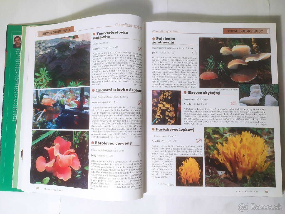 Veľký atlas húb - 4