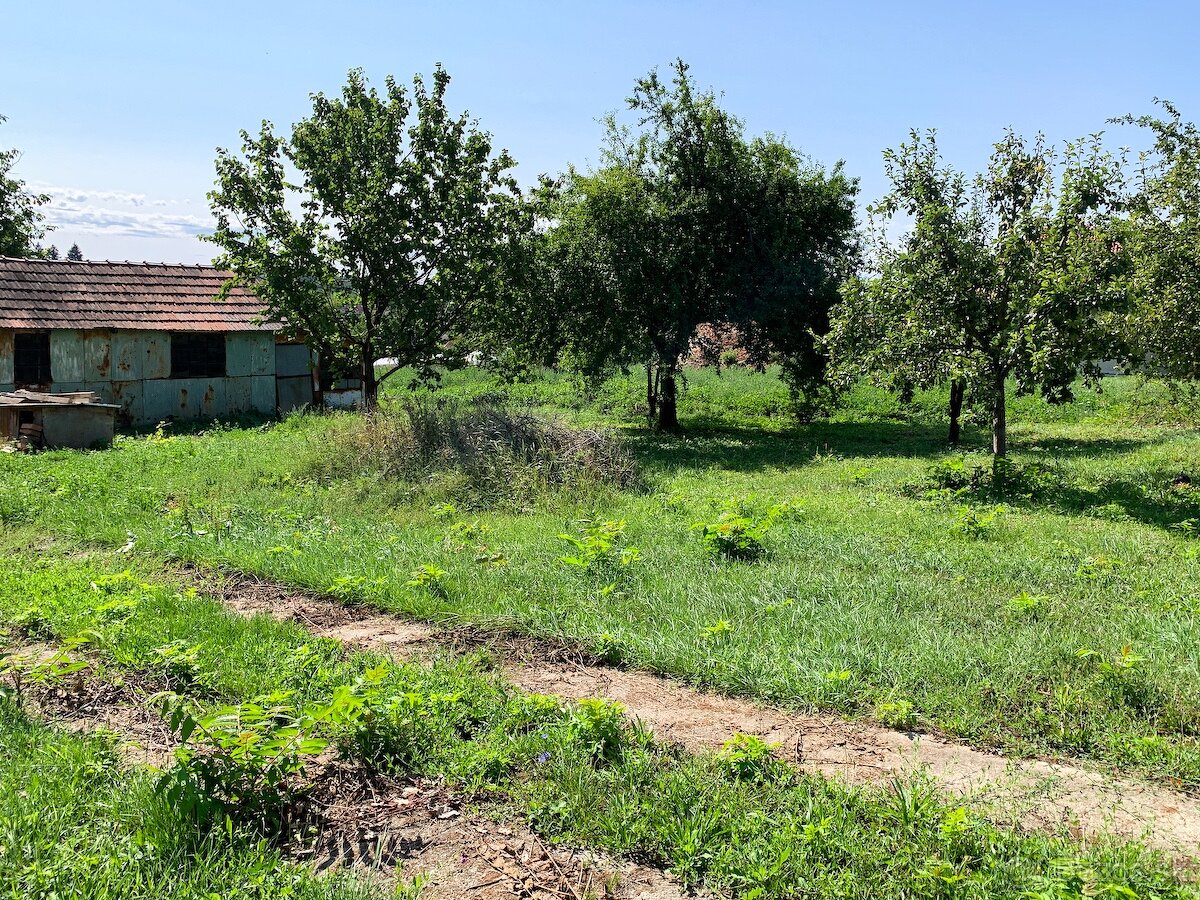 Vidiecky dom na predaj, Nevidzany - 4