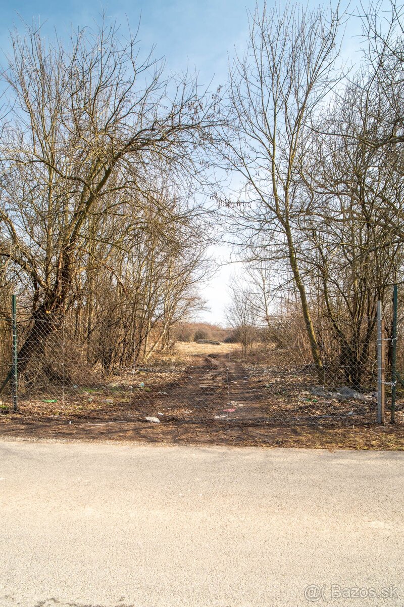 Veľkorysý pozemok pre rodinné domy - Veľké Kapušany - Predaj - 4