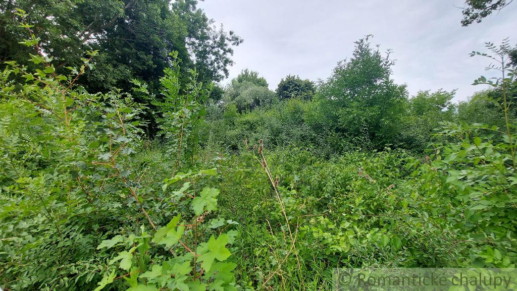 Záhrada pri Holíči na predaj - 4