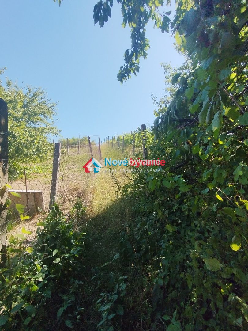 Predaj - pozemok Levice ( N046-14-MAHA) - 4