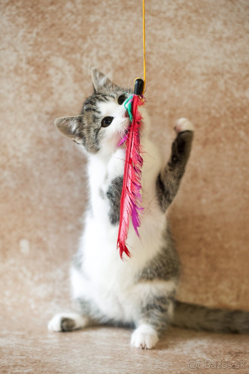 ❤ Lesana - nebojácna a vždy veselá slečna - 4