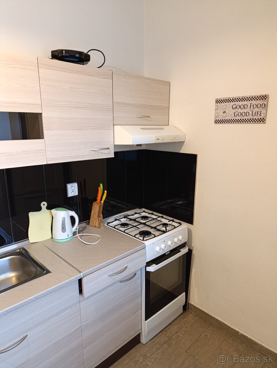 Prenájom 1-izbový byt - 4