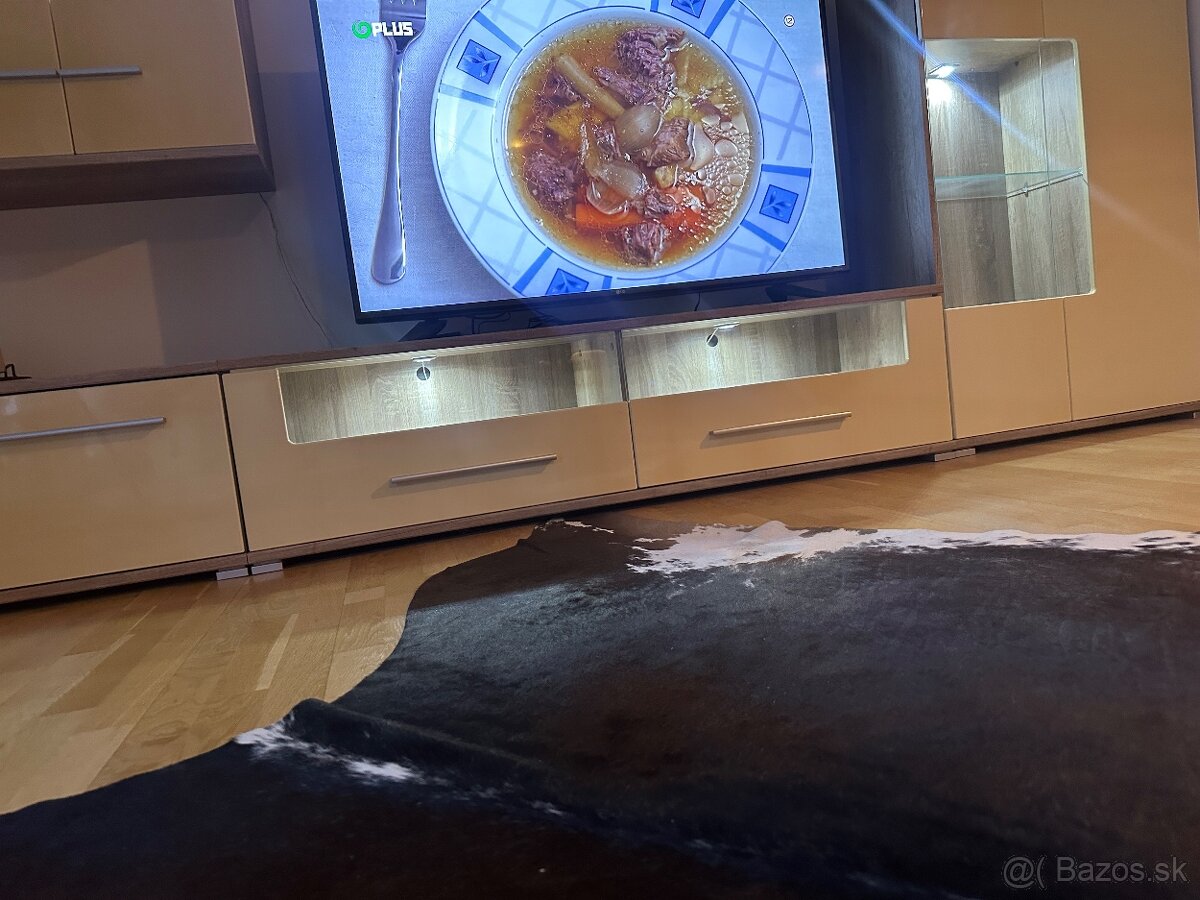 Obývacia stena 3 metrová - 4