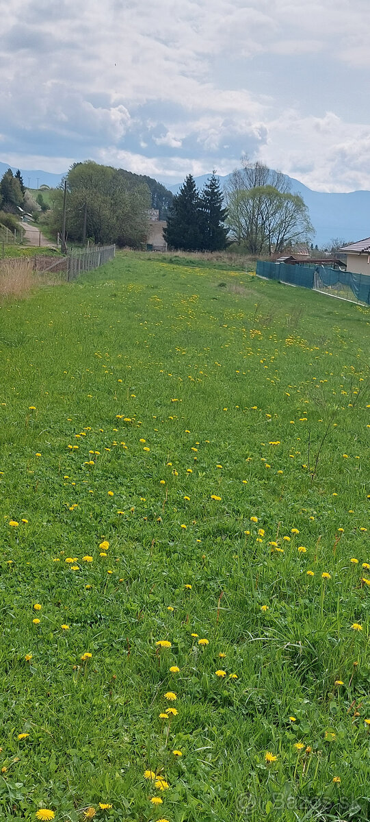 Predaj 2 pozemkov za sebou vo Valči - 4