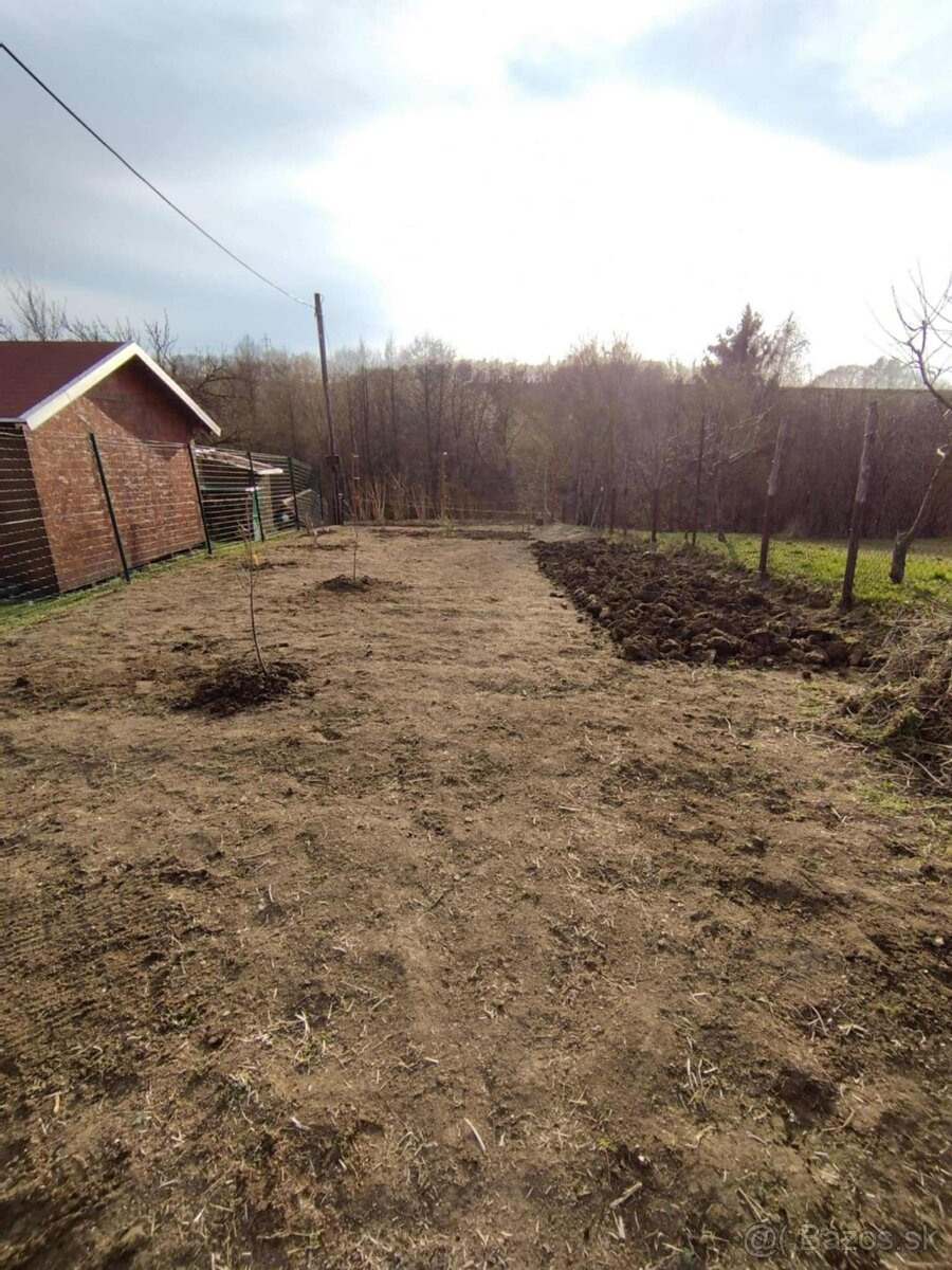 Záhrada, pivnica - 4