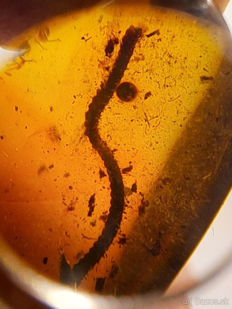 Jantár s mnohonôžkou - 4