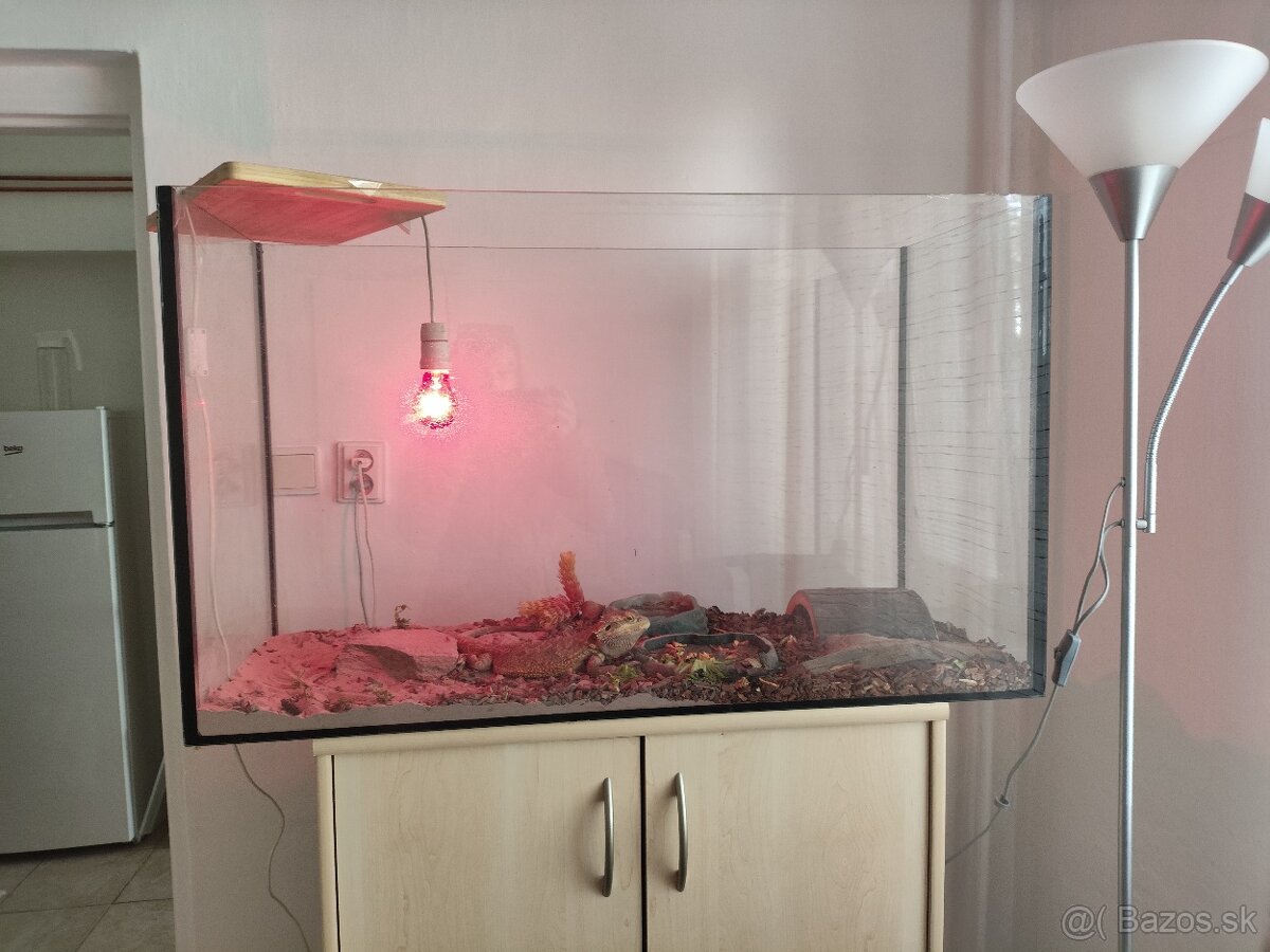 Akvárium 240l - 4