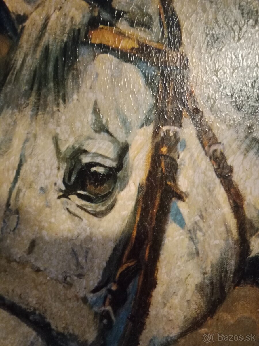 Hlava koně olej na desce SLEVA NA 1990 - 4