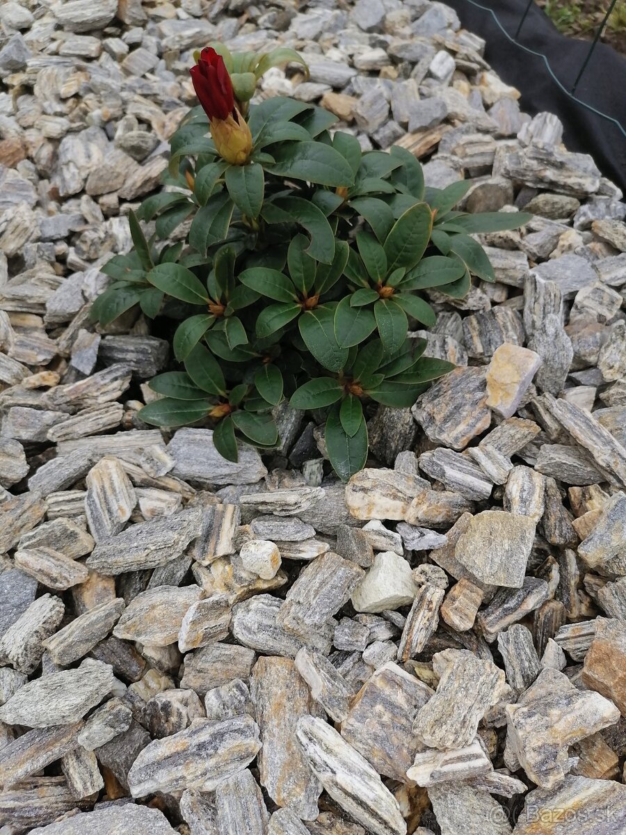 Kamenná kora, Žulová drť - 4