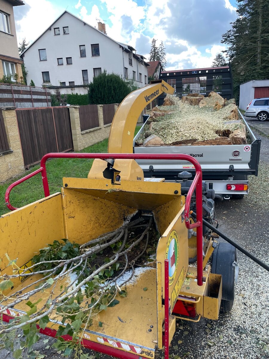 Pílenie stromov, výrub stromov - 4