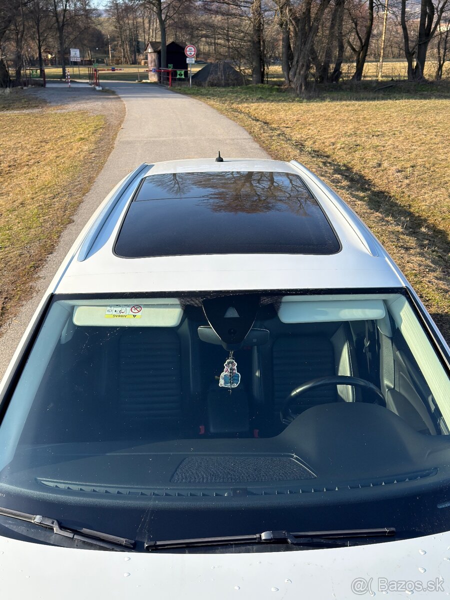 Passat alltrack 2.0bitdi - 4