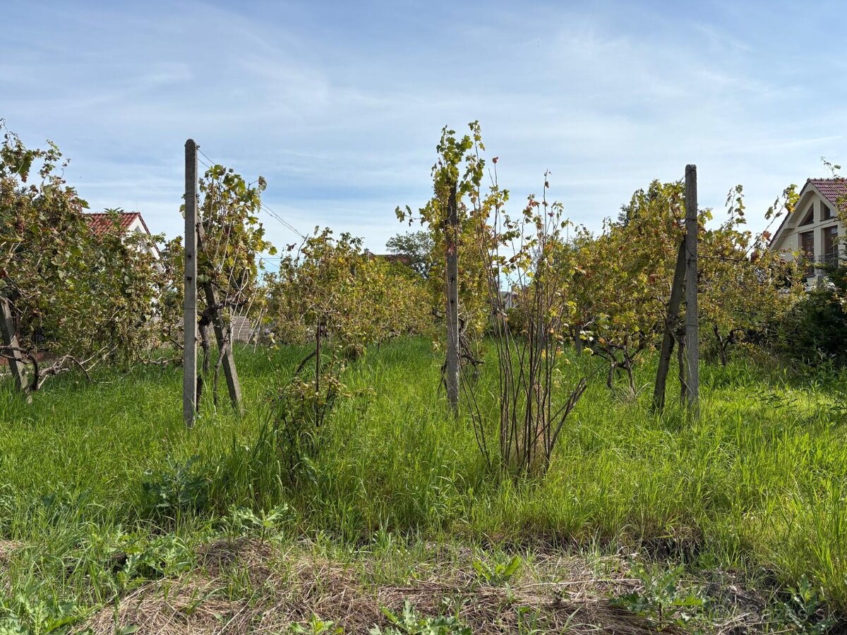 Prenájom záhrady vo Vajnoroch - 4