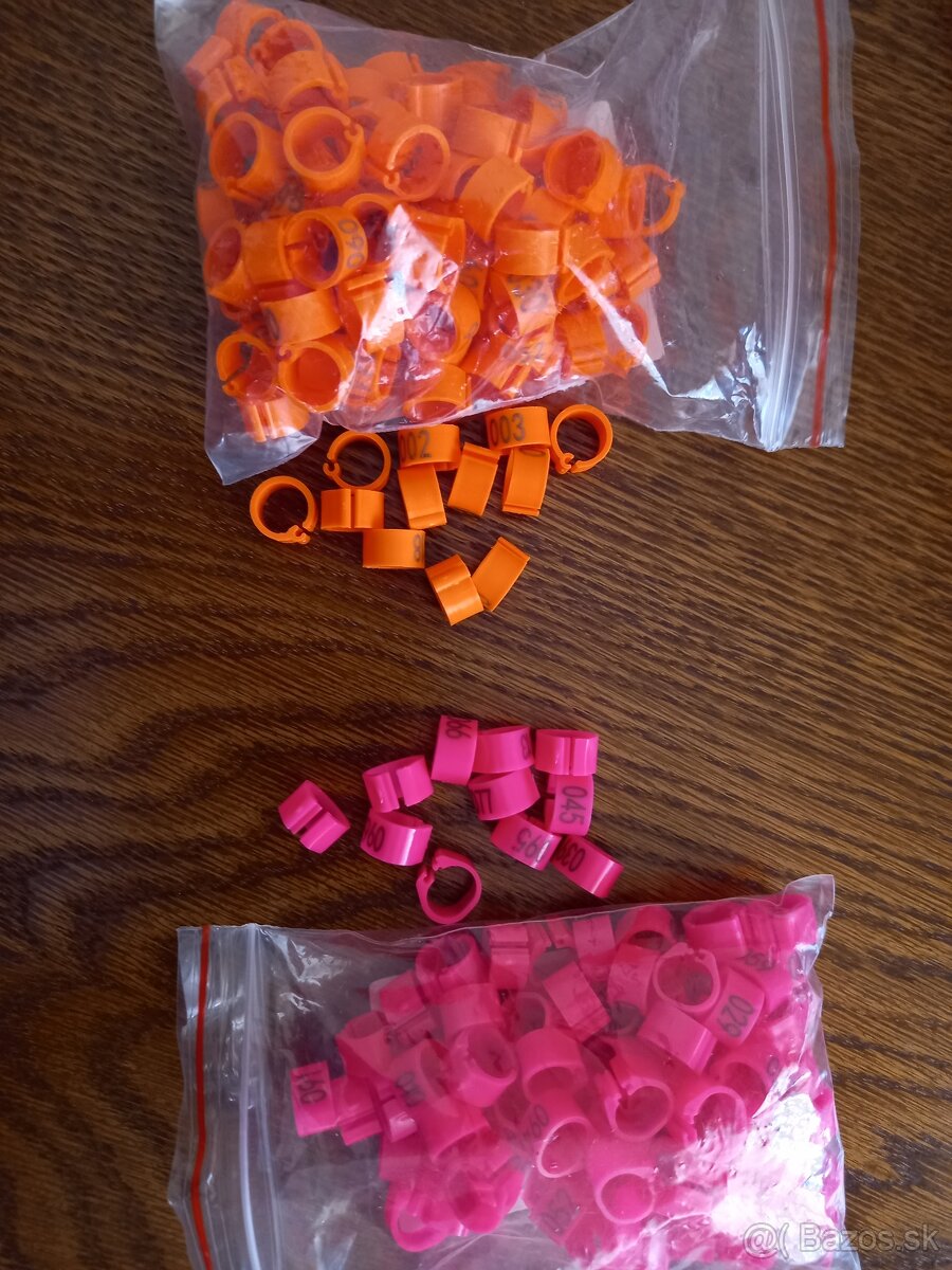 krúžky na vtáctvo - 4