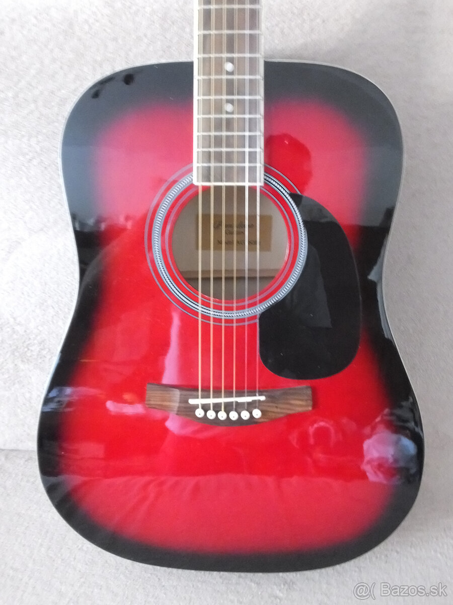 Gitara - Pasadena guitars Model160 WR - 4
