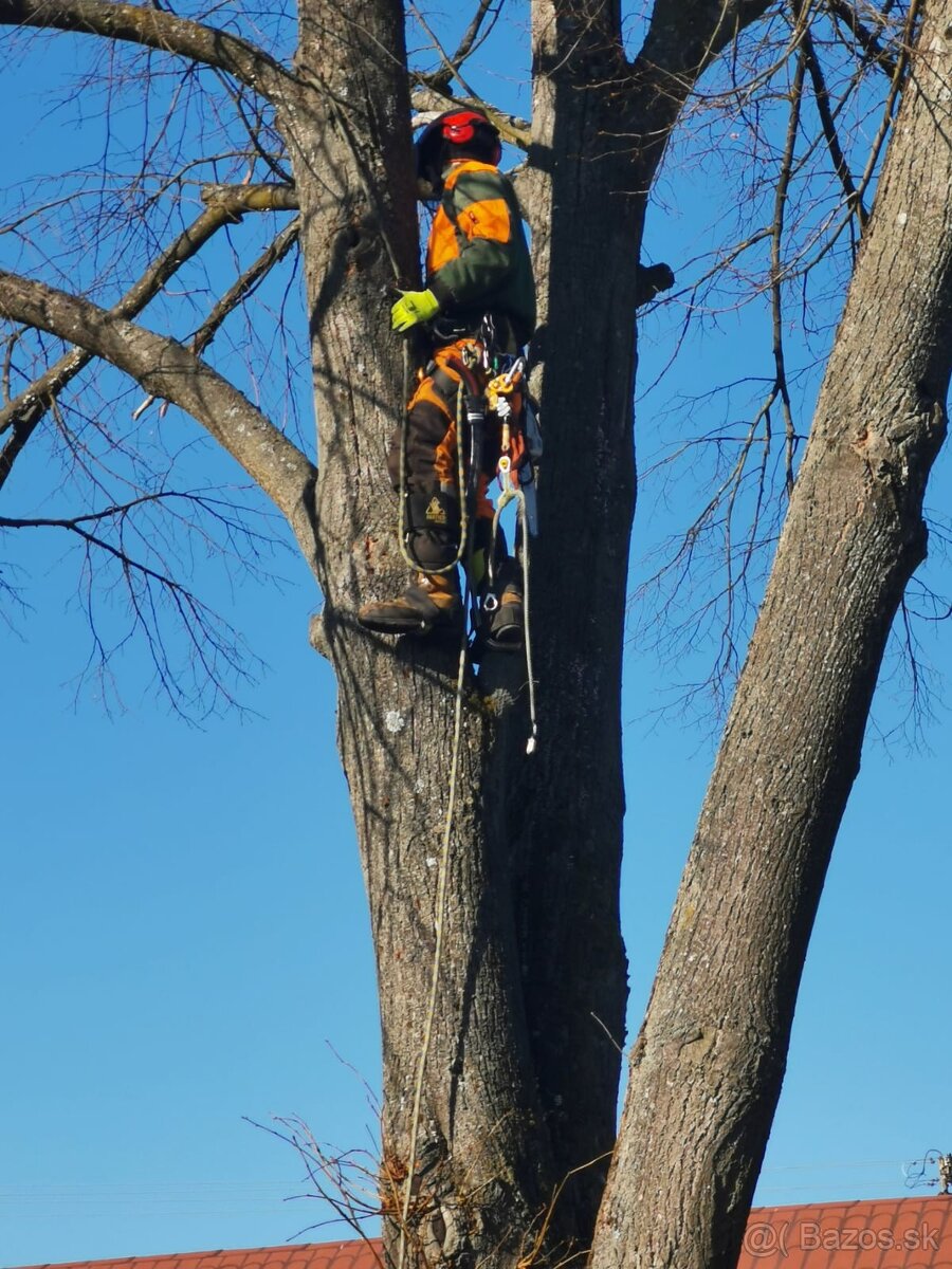 VÝRUB/OREZ STROMOV, LACNO A BEZPEČNE - 4