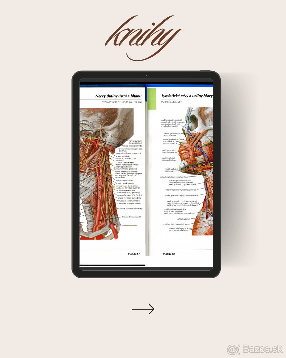 Materiály pre medikov - 4