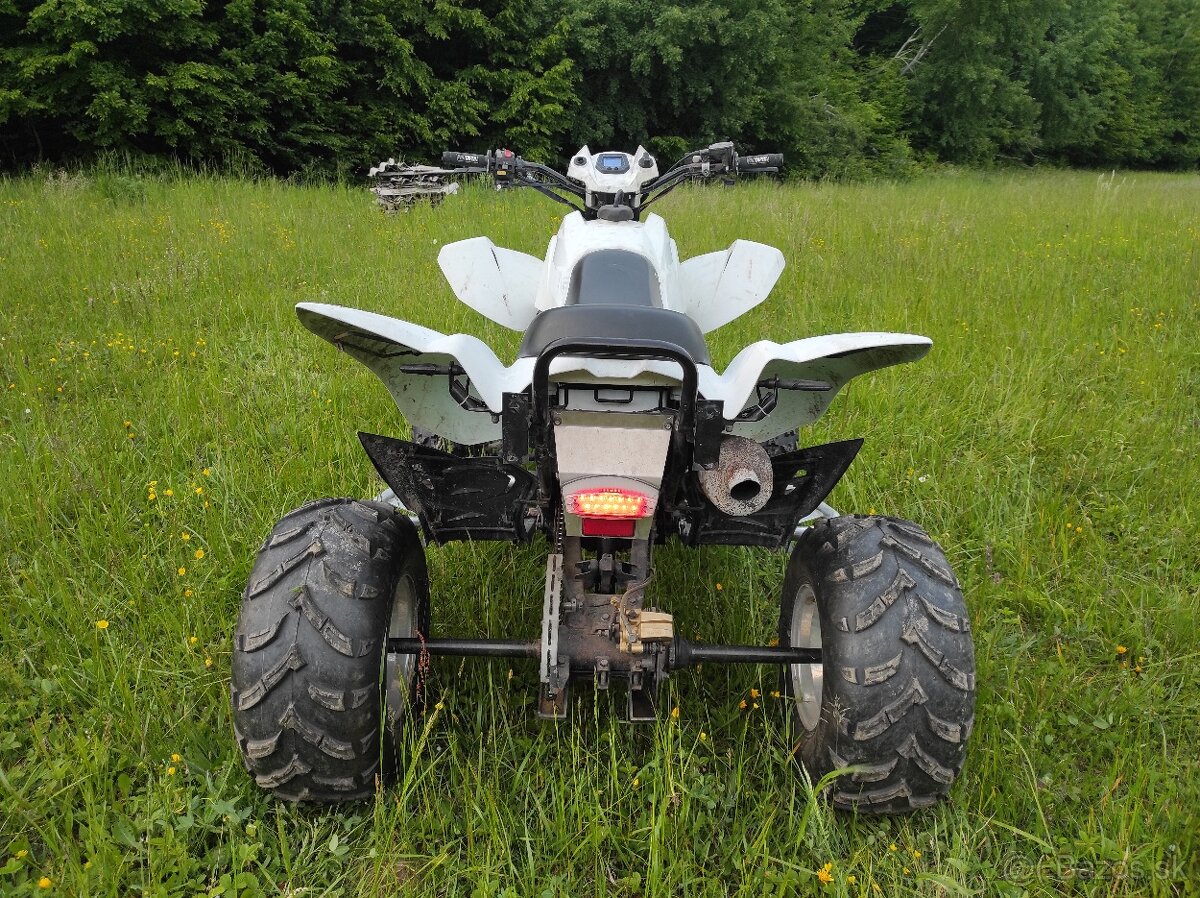 Dinli quadzilla 450