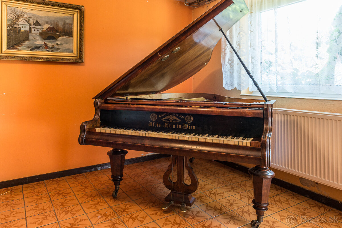 ALOIS KERN PIANO FORTE - 4