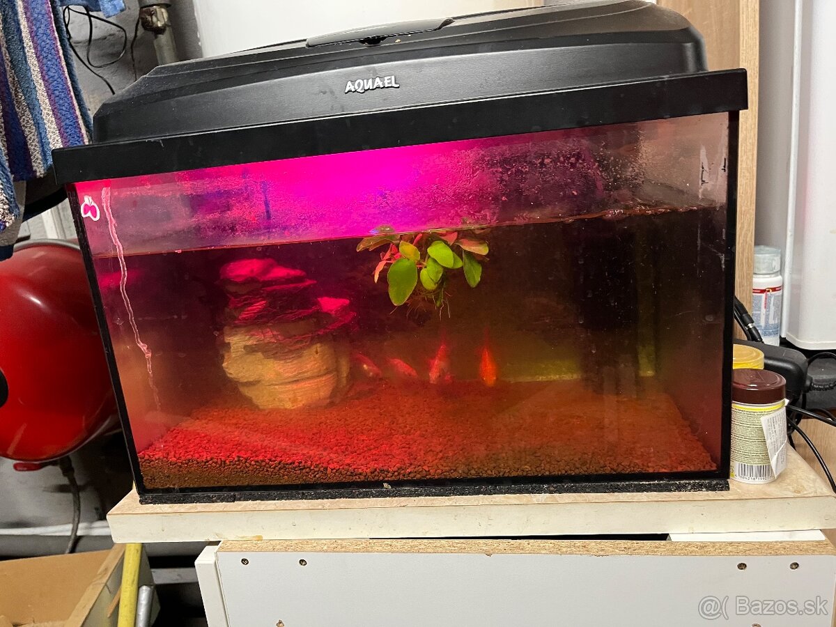 Predám akvárium 30l - 4