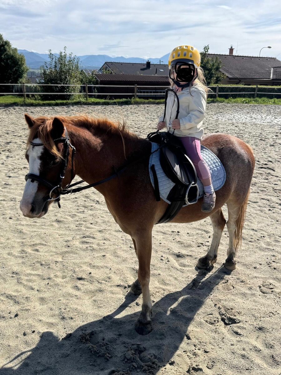 Ponik ideálny pre deti - 4