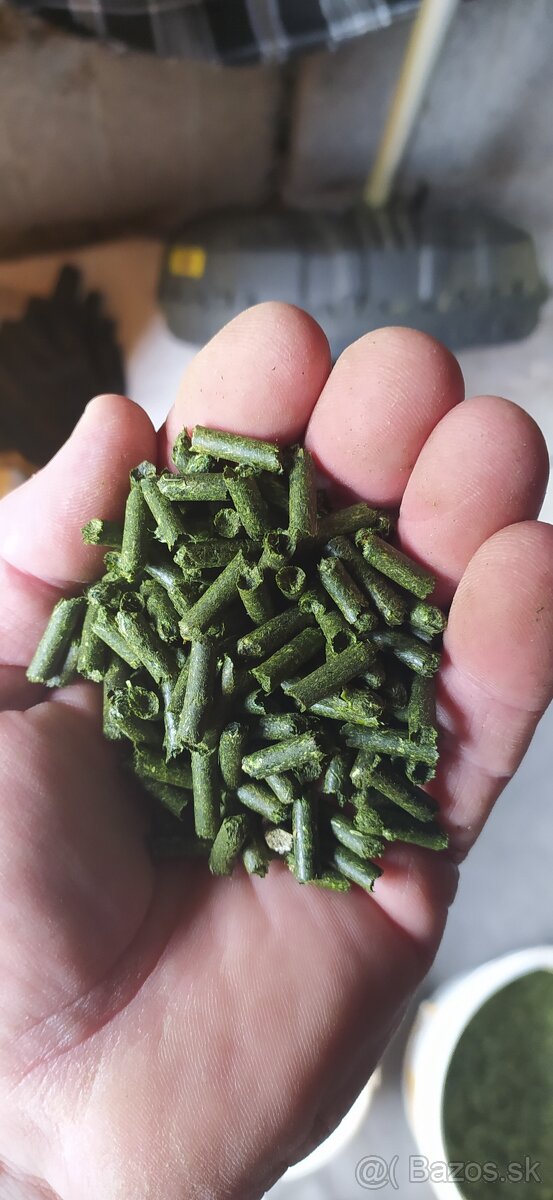 Granule - 4