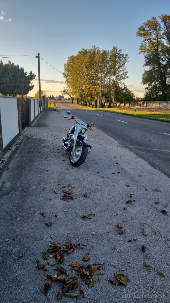 HARLEY DAVIDSON FAT BOY - 4