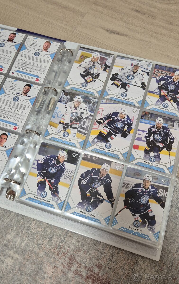 Hokejové kartičky - 4