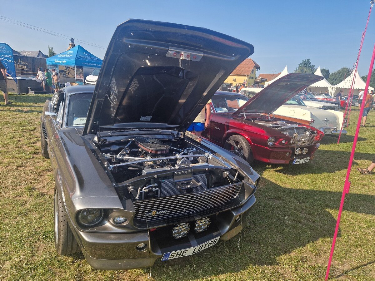 ELEANOR Shelby GT500 V8 - 4