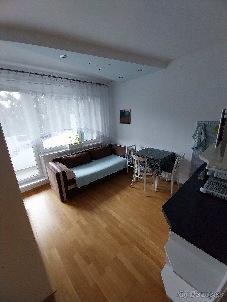 Prenájom slnečný 1+1 izbový byt s loggiami - 4