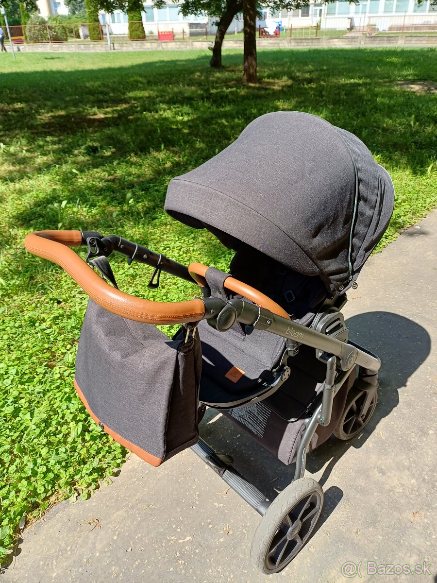 Kočik ROAN BLOOM ČIERNY - 4