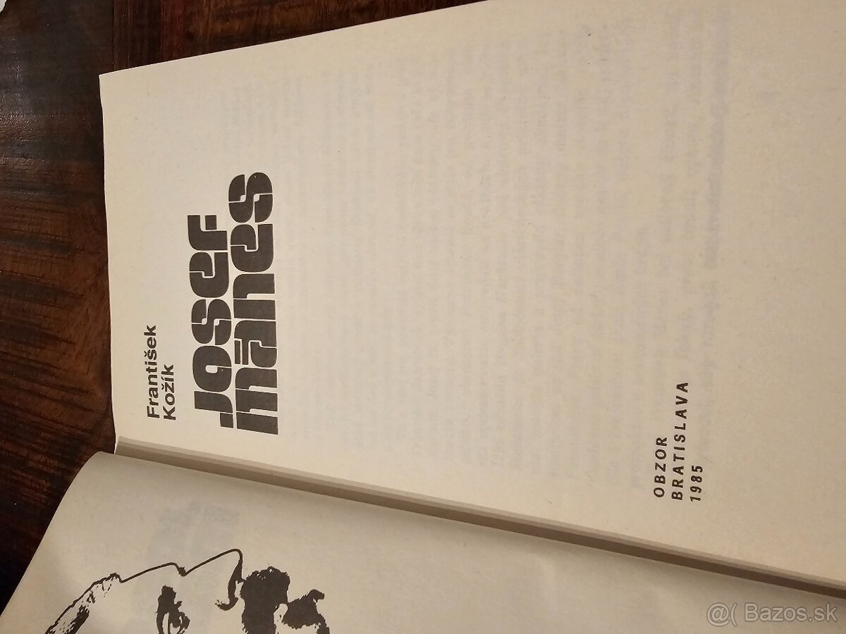 Kožík - Josef Manes - 4