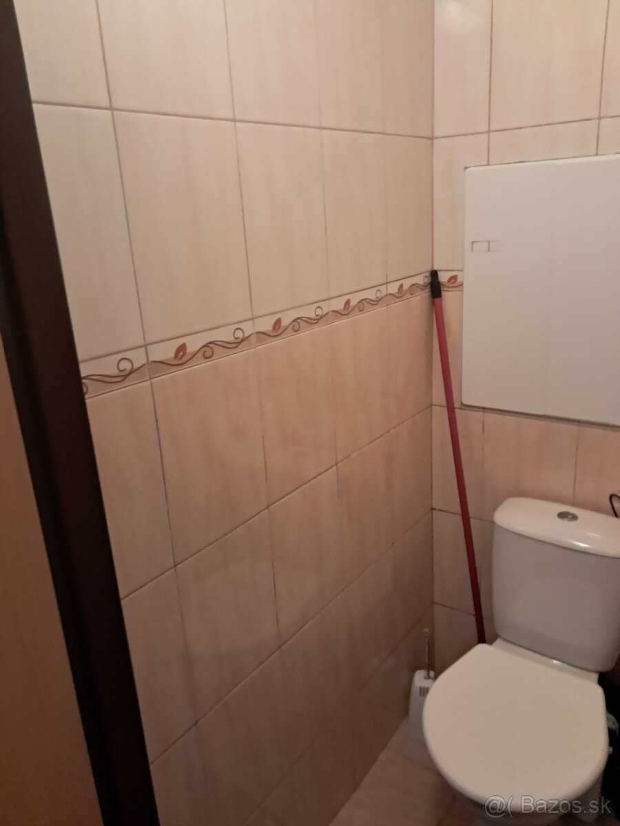 Predám 1-izbový byt v Devínskej Novej Vsi - 4