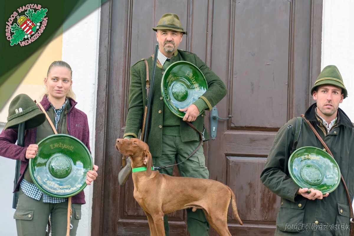 Maďarská vyžla - 4