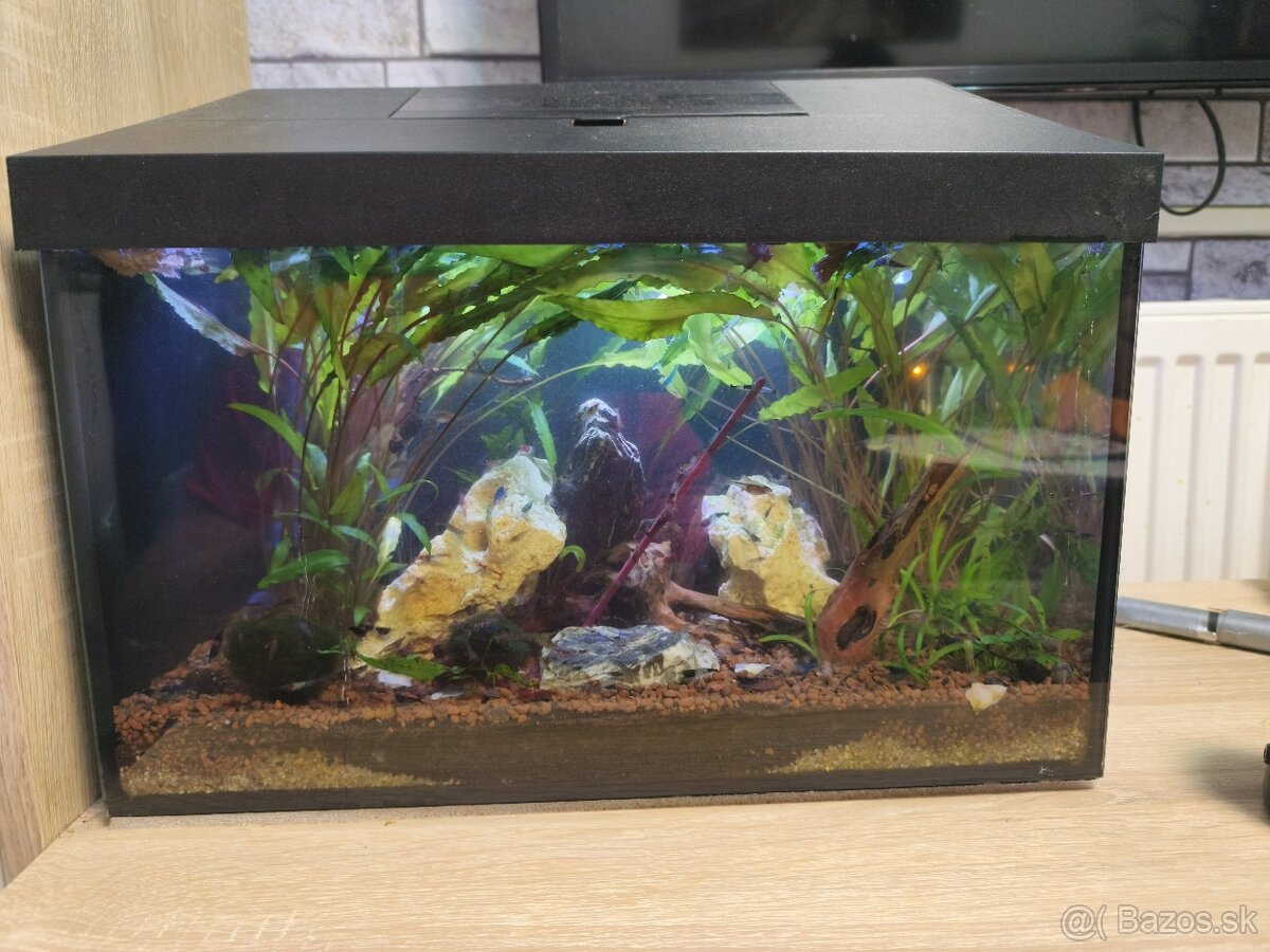 Predám zabehnuté akvárium - 4