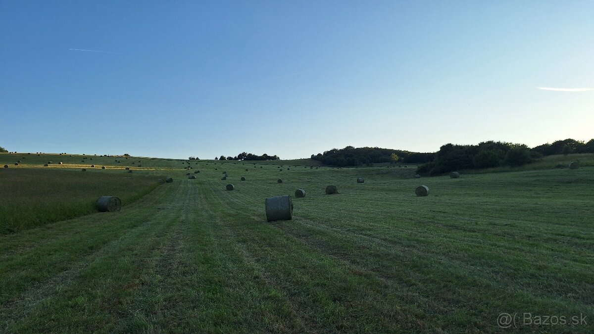 seno veľké balíky - 4